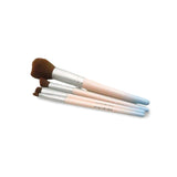 GLADKING 4 Pieces Portable Mini Cosmetic Travel Makeup Brushes Set