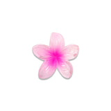 TWINS SMALL FLOWER CLAM