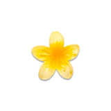 TWINS SMALL FLOWER CLAM