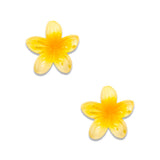 TWINS SMALL FLOWER CLAM