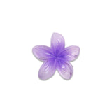 TWINS SMALL FLOWER CLAM