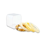 4N1 TWIST PONY WITH CASE
