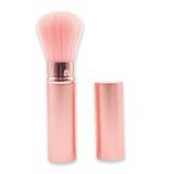 KL651 PORTABLE TELESCOPIC BRUSH