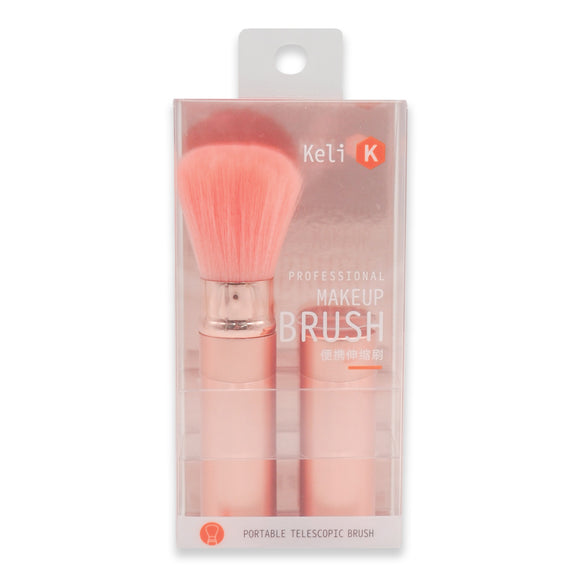 KL651 PORTABLE TELESCOPIC BRUSH
