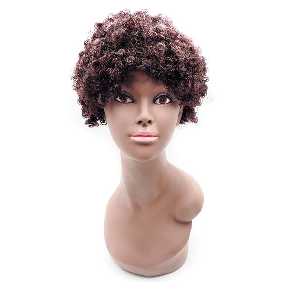 Curly Afro Wig