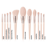 11pcs Nude Pink Makeup Brush Set *inclusive online