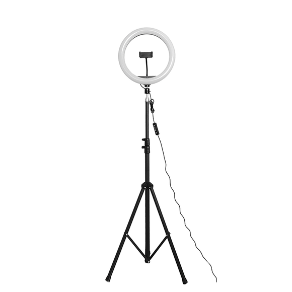 12” Ringlight Set LITE