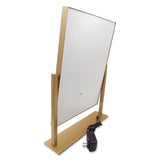 LED Vanity Mirror - Gold
