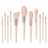 11pcs Nude Pink Makeup Brush Set *inclusive online