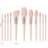 11pcs Nude Pink Makeup Brush Set *inclusive online