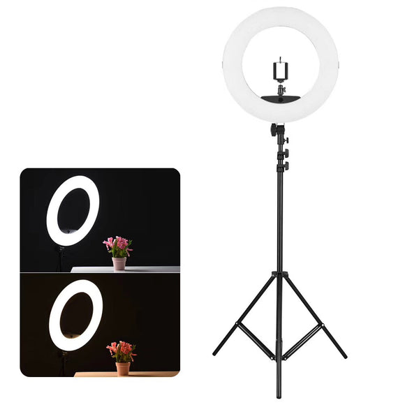 Duo Color Switch Ringlight