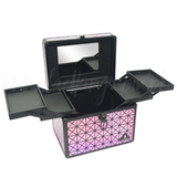 2830k Laser Pink